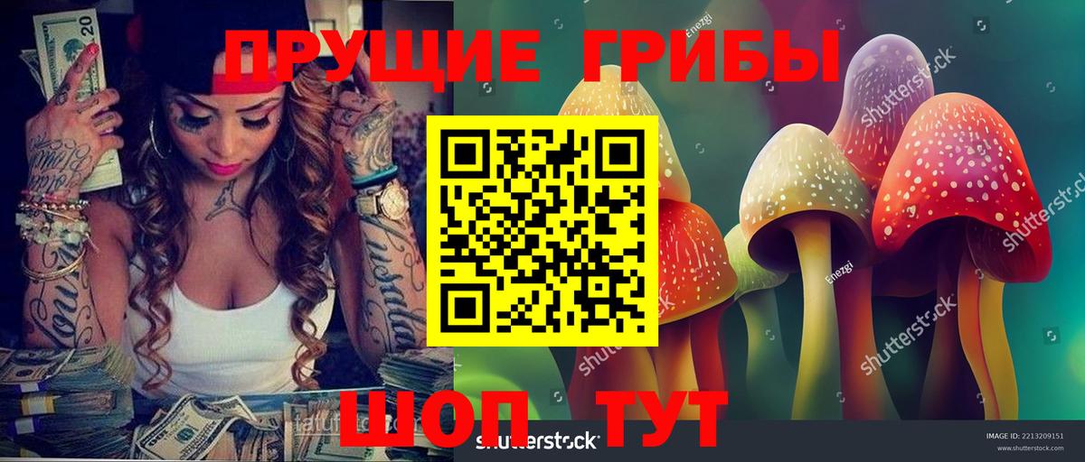 Галлюциногенные грибы MAGIC MUSHROOMS  Вход с VPN  хочу наркоту  Златоуст 