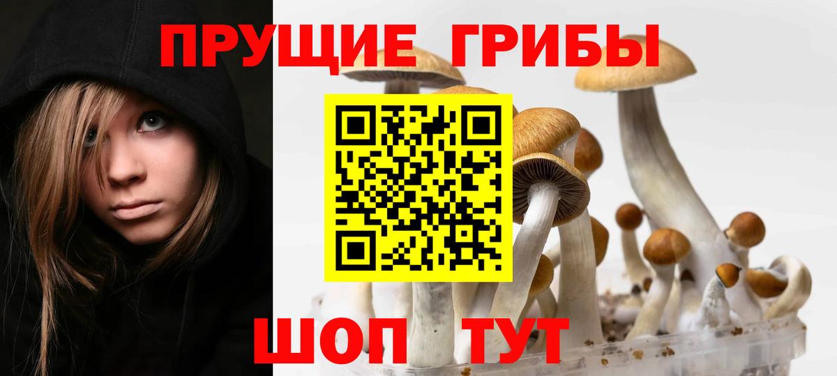 Галлюциногенные грибы мухоморы Златоуст